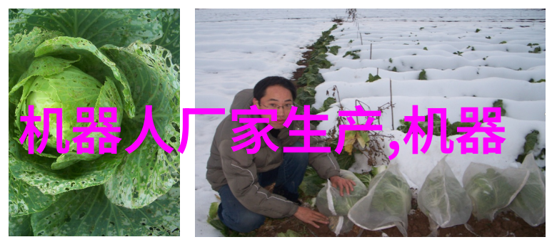 美团涉及机器人的新公司仅注资10万曾被视为重要垂域如今却态度大变