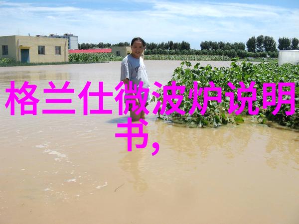 机械设备微波炉好么 机械设备微波炉剖析详细介绍